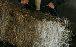 Isolation paille : discussion autour de l’isolation en bottes de paille en neuf et réhabilitation
