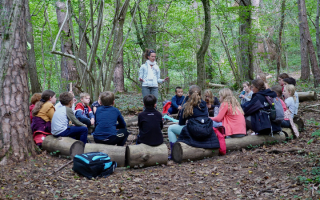 Film : la forêt c'est la classe 1h20 , en présence du réalisateur