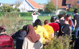 Les jeunes et l’engagement citoyen en associations et collectifs : témoignages