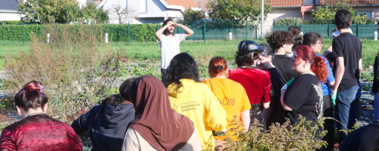 Les jeunes et l’engagement citoyen en associations et collectifs : témoignages
