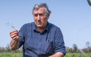 Quelle place pour les animaux dans nos paysages et dans notre alimentation ?