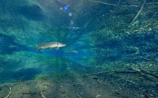 Film : Le fleuve invisible, un trésor sous la plaine du Rhin