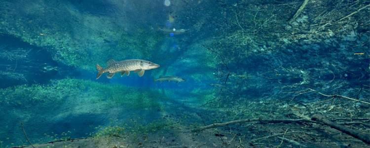 Film : Le fleuve invisible, un trésor sous la plaine du Rhin