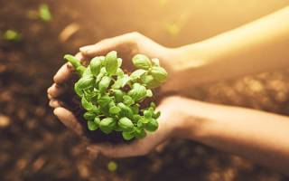 La mort, … c’est pas la fin des haricots !