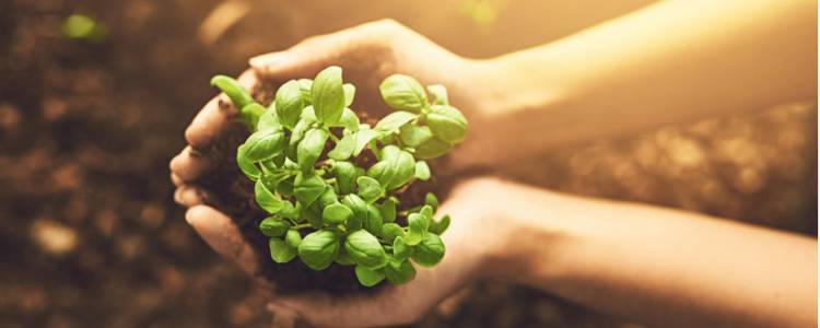 La mort, … c’est pas la fin des haricots !