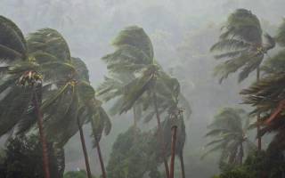 Film & Débat : Le Silence de la Terre (90’)