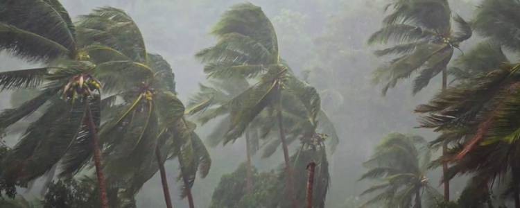 Film & Débat : Le Silence de la Terre (90’)