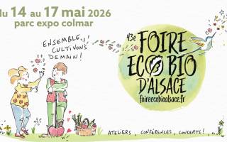 Les leviers d'une rénovation saine