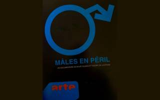 Film & Débat : Mâles en péril 