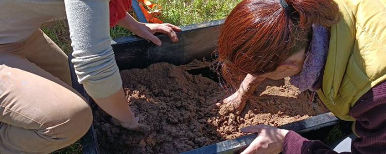 Chantiers accompagnés en terre crue - Retour d'expérience 