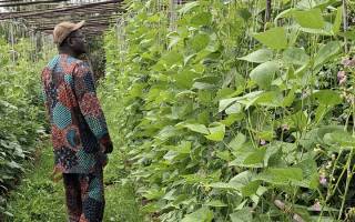 Permaculture Humus et Ecologie du corps humain 