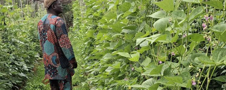 Permaculture Humus et Ecologie du corps humain 