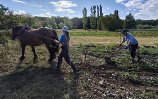 Ungersheim : Coconstruisons une biodiversité d’actions pour l’alimentation