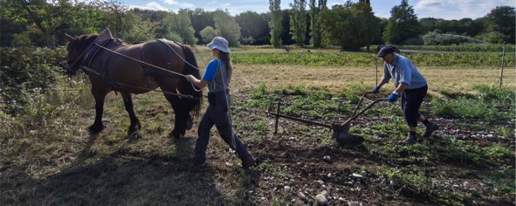 Ungersheim : Coconstruisons une biodiversité d’actions pour l’alimentation