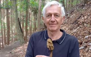 Dix champignons qui ont changé la vie des hommes