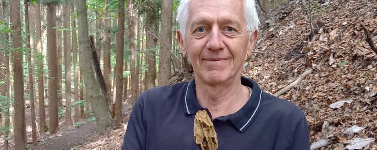 Dix champignons qui ont changé la vie des hommes