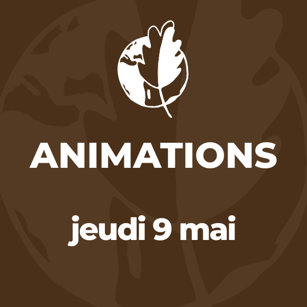 Animations du jeudi 9 mai 2024