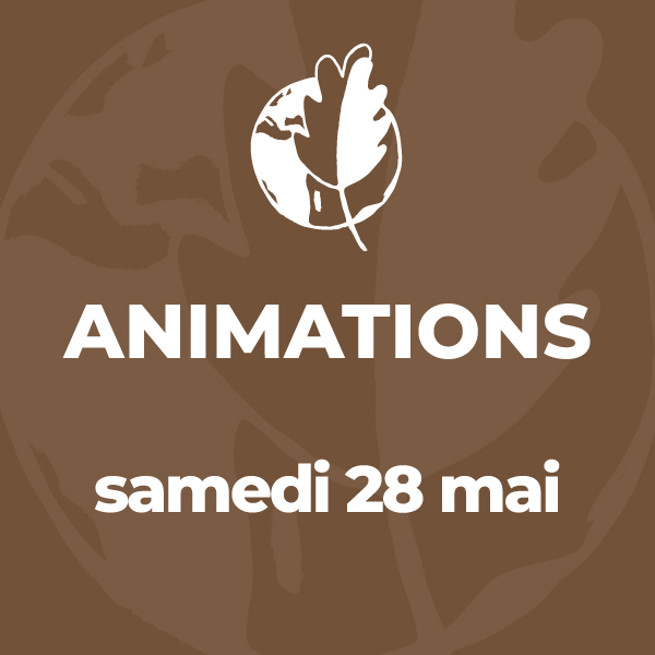 Animations du samedi 28 mai
