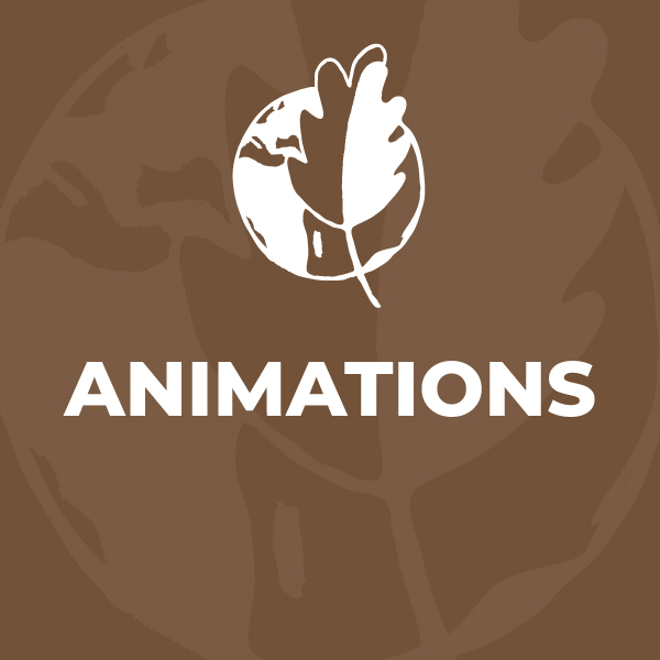 Programme des animations