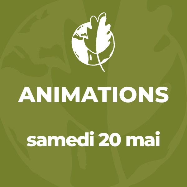 Animations du samedi 20 mai 2023